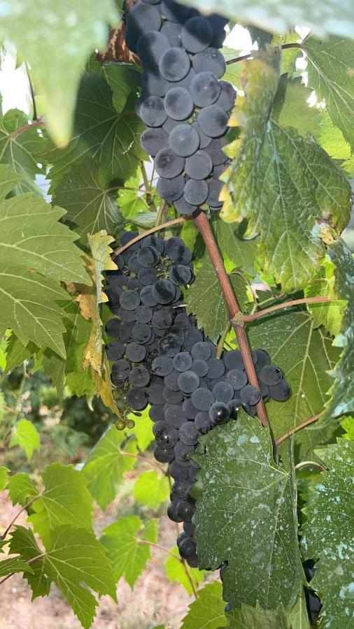 Willa Quinta De Gestacos Geres Zewnętrze zdjęcie